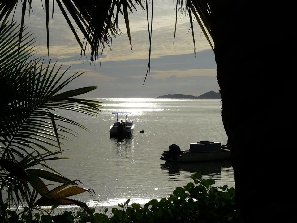 Palm Beach Hotel Grand Anse  Eksteriør billede