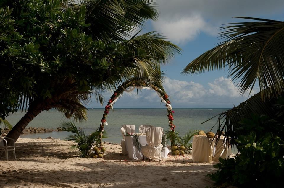 Palm Beach Hotel Grand Anse  Eksteriør billede